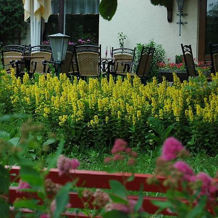 Berghotel Rotstein Sohland am Rotstein Esterno foto